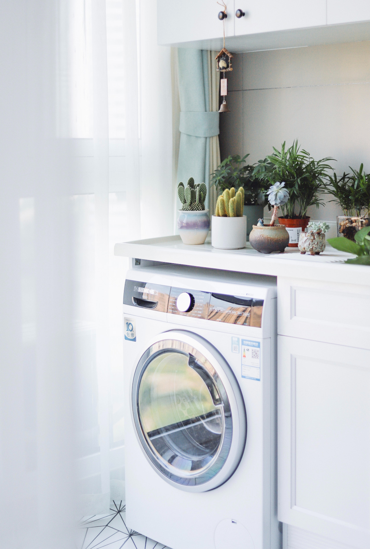 Laundry Room Appliances Used as a Storage Space for Plants 